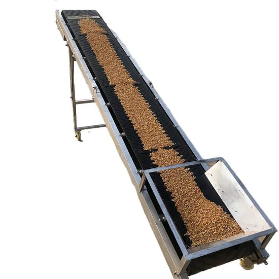 O papel das correias transportadoras no agronegócio