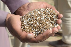 Entregas de fertilizantes caem no início de 2026: como isso impacta a operação com correias transportadoras