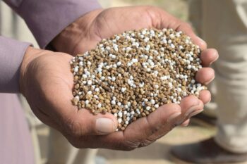 Entregas de fertilizantes caem no início de 2026: como isso impacta a operação com correias transportadoras